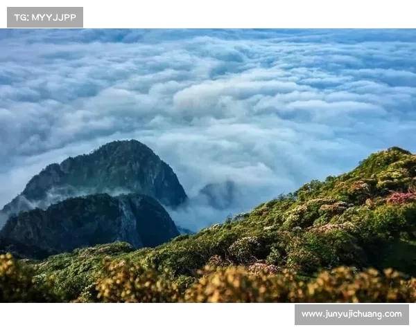 探索轻风山秘境之旅揭秘从王国出发的最佳登山线路推荐 探索轻风山秘境之旅揭秘从王国出发的最佳登山线路推荐